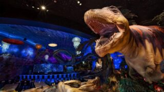 t-rex-prehistoric-family-