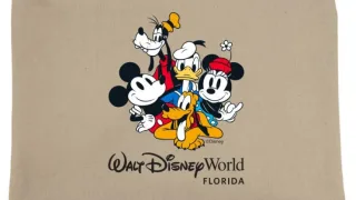 ディズニーワールド Yahoo!オークション - adidas・ORIGINALS DISNEY ZX 10 000 C W