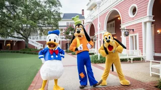 Disney - ミイページ 1988 Walt Disney World Amusement Theme Park Brochure