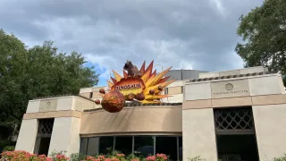 ウォルト・ディズニー・ワールド (WDW) | ミッキーネット公式サイト