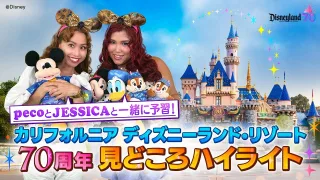 ディズニーランド・リゾート (DLR) | ミッキーネット公式サイト