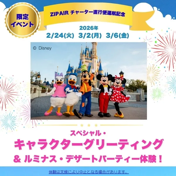 東京ディズニーリゾート 　ディズニーオンツアー 北海道 ミッキー Disney ディズニーオンツアー 東京タワー 浅草 ミッキー ミニー ペア
