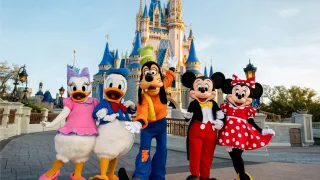 ピックアップ | ミッキーネット公式サイト