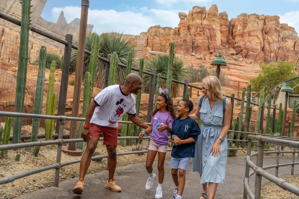 今だけ！】カリフォルニア ディズニーランド・リゾートのチケットを
